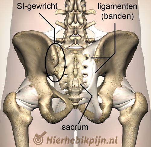 bekken achteraanzicht kapsels banden si gewricht ligamenten