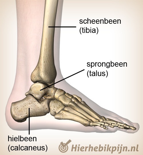 enkel posterior impingement