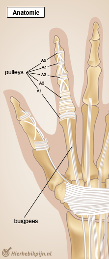 hand vinger pulleys