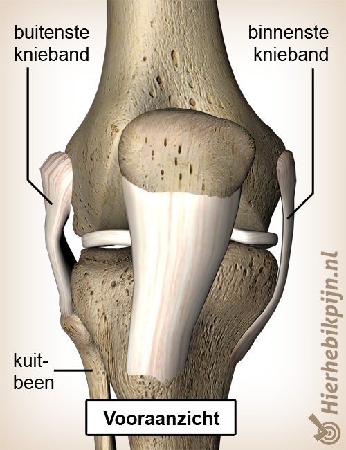 knie kniebanden binnenste buitenste knieband vooraanzicht