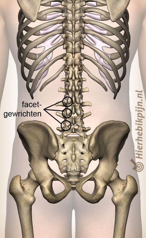 rug facet gewricht