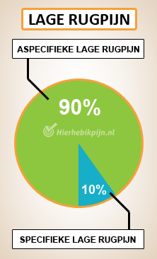 rug lage rugpijn aspecifiek specifiek cirkeldiagram