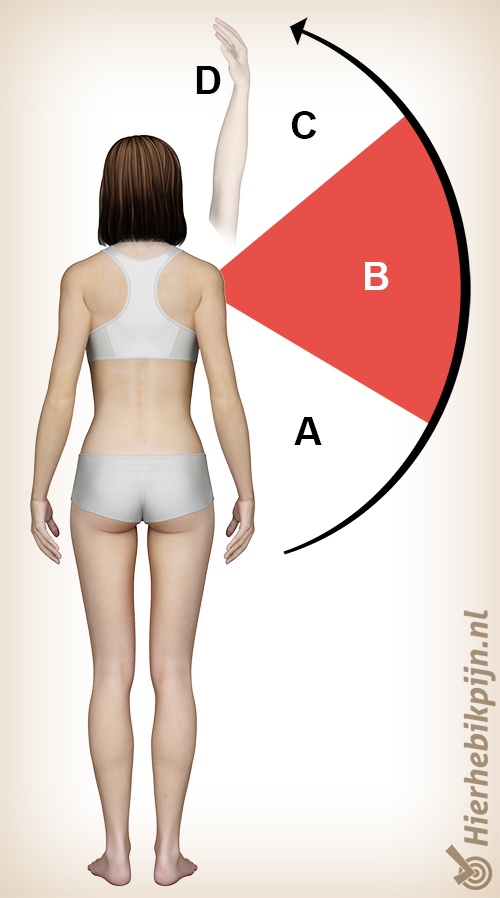 schouder impingement painful arc