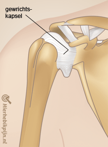 schouder kapsel gewrichtskapsel