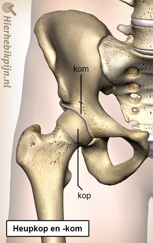 Behandeling - Heup Artrose