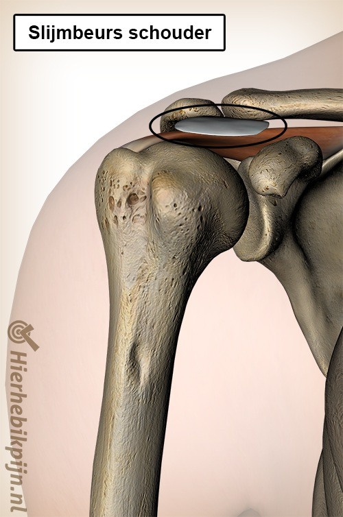 schouder slijmbeurs bursa