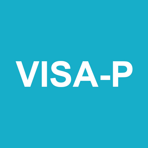 vragenlijst visa p