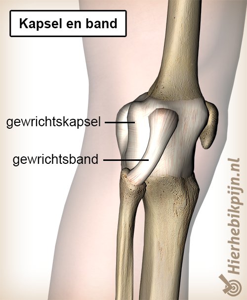 knie-kapsel-band.jpg