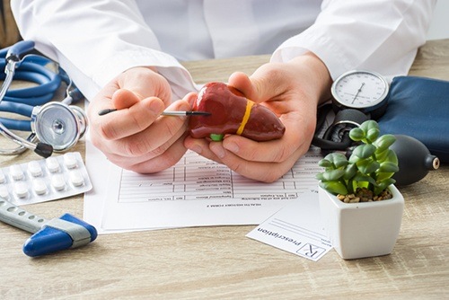 Internist interne geneeskunde organen