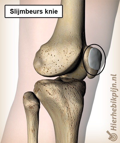 Knie slijmbeurs bursa