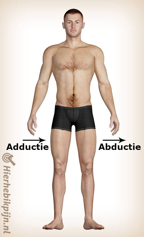 Man adductie abductie