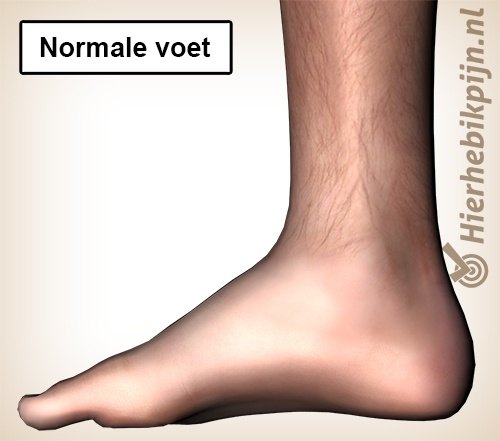 Normale voet mediaal binnenkant