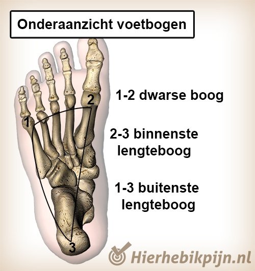 Voet onderkant voetbogen plantair